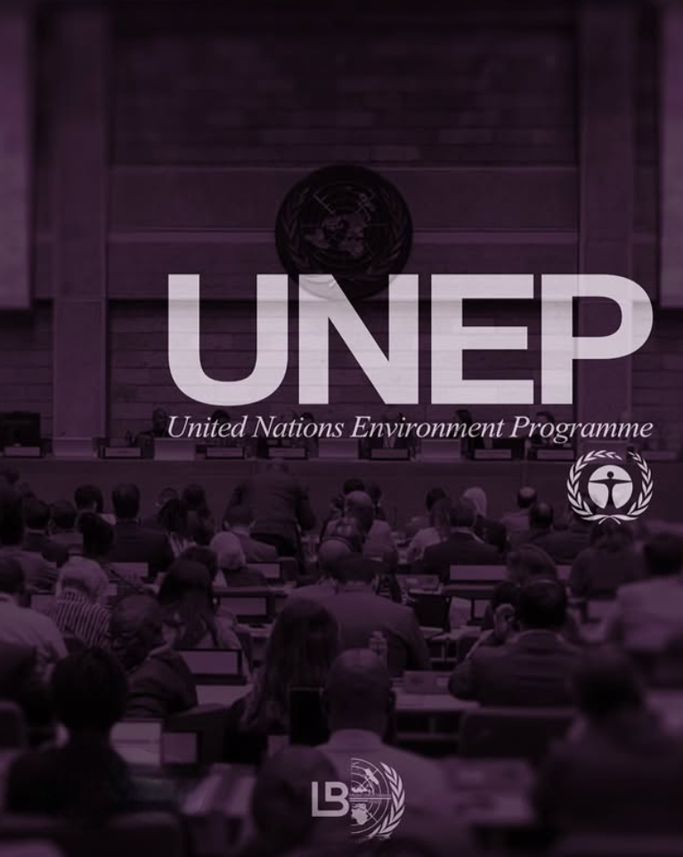 UN Environment Programme Committee